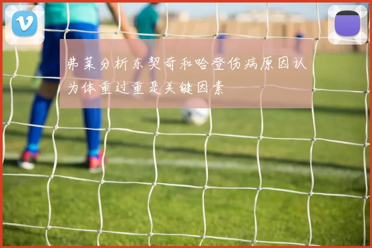 弗莱分析东契奇和哈登伤病原因认为体重过重是关键因素